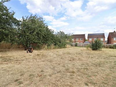 Picture 19